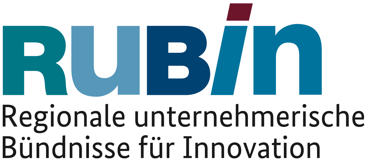 RUBIN Logo - Regionale unternehmerische Bündnisse für Innovation