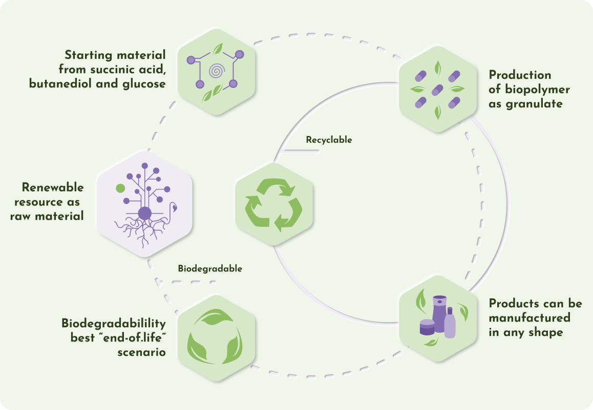 RUBIO innovation circle, it's possible to produce biodegradable plastics from natural resources for all kind of products